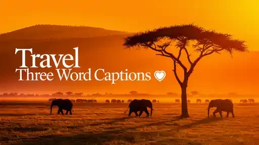 Travel Three Word Captions