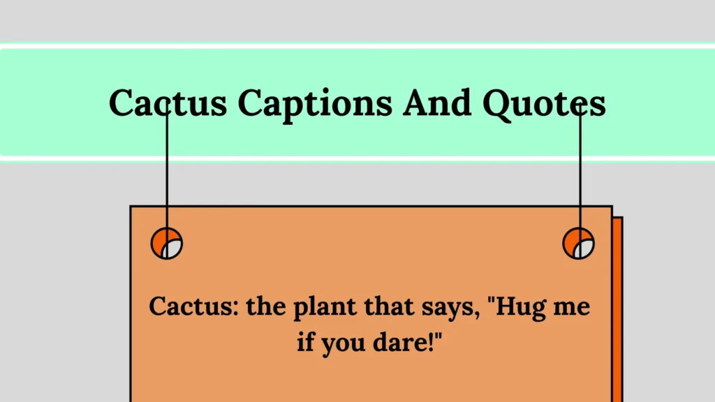 Inspirational Cactus Captions for Instagram