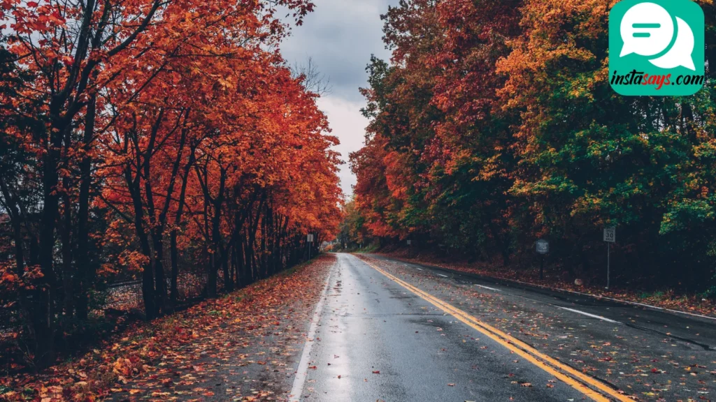 Nature-Inspired Rain Captions For Scenic Beauty