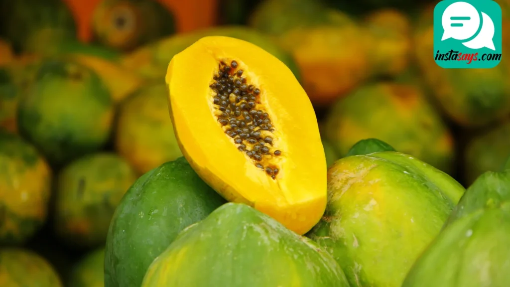 Tropical Papaya Vibes