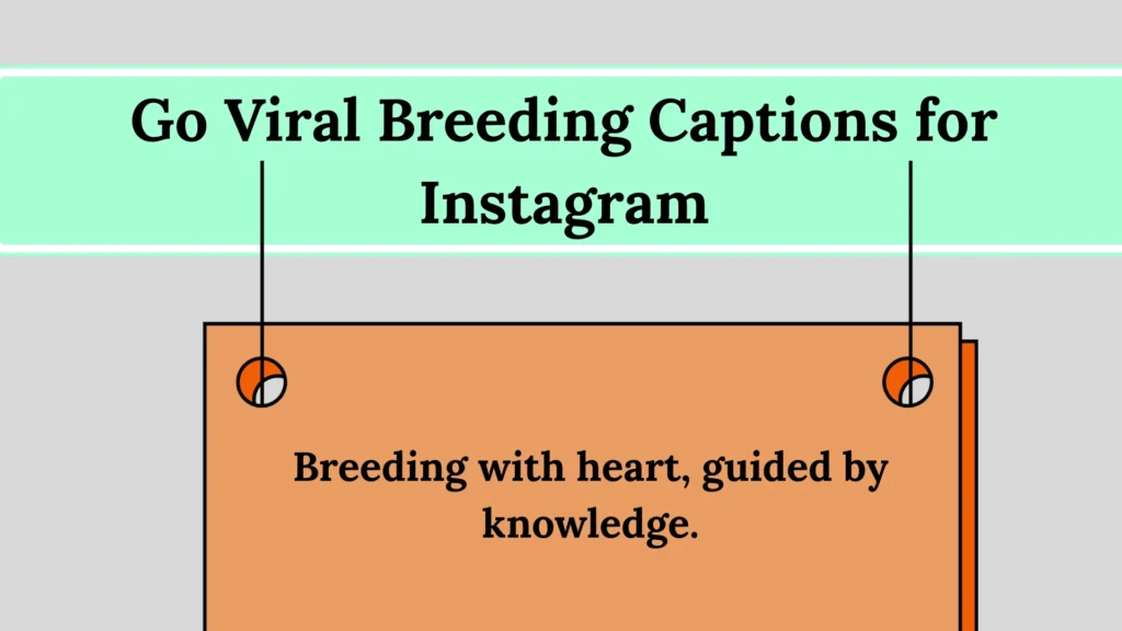 Why Breeding Captions for Instagram Are Important