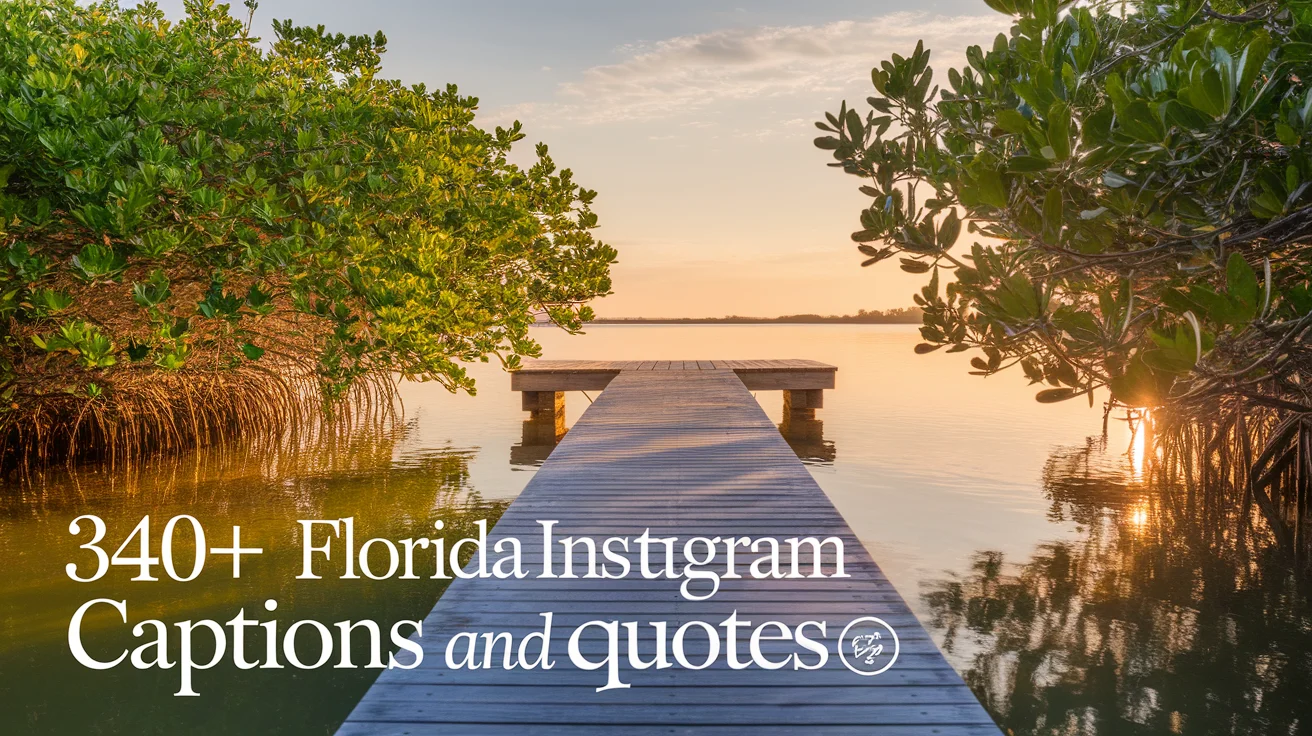Florida Instagram Captions And Quotes