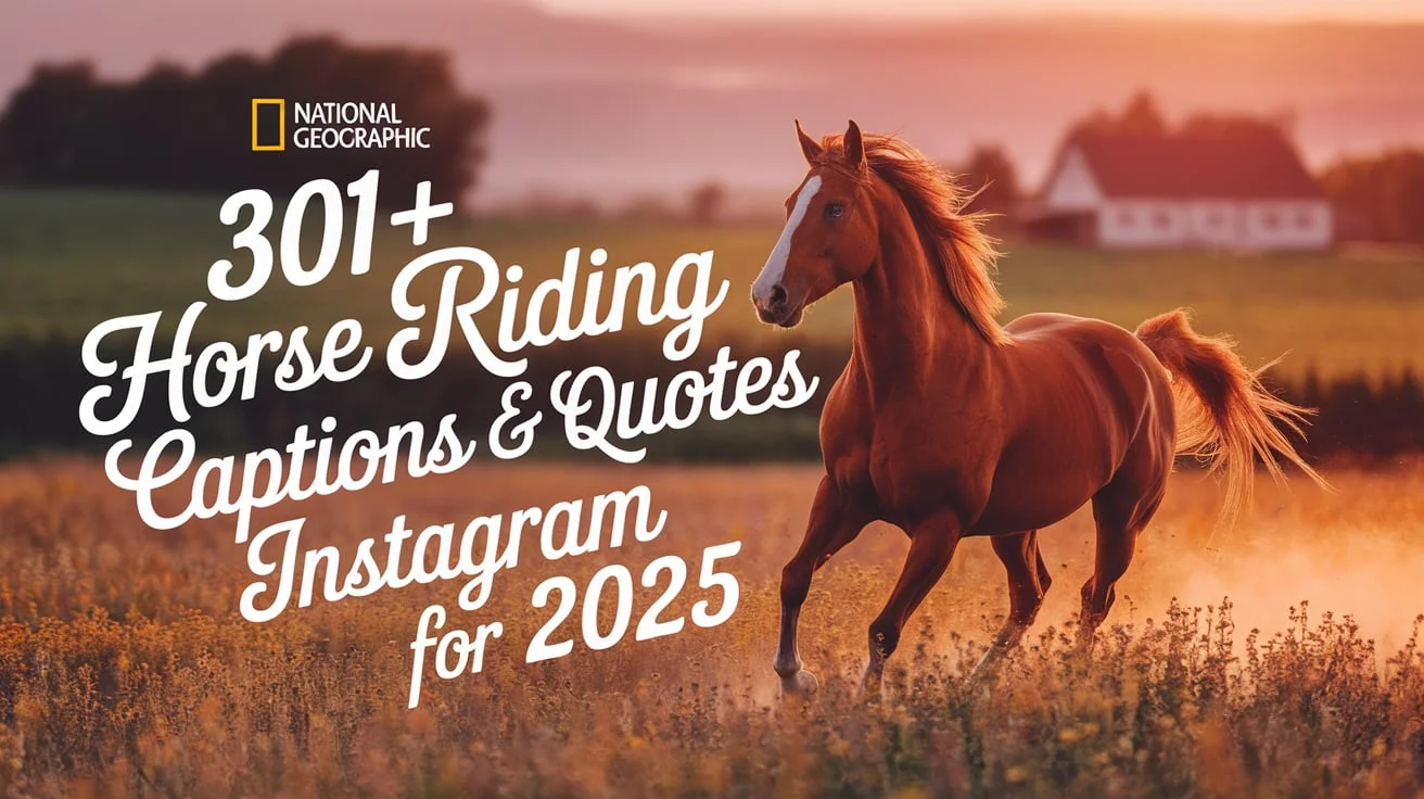 Horse Riding Captions & Quotes for Instagram