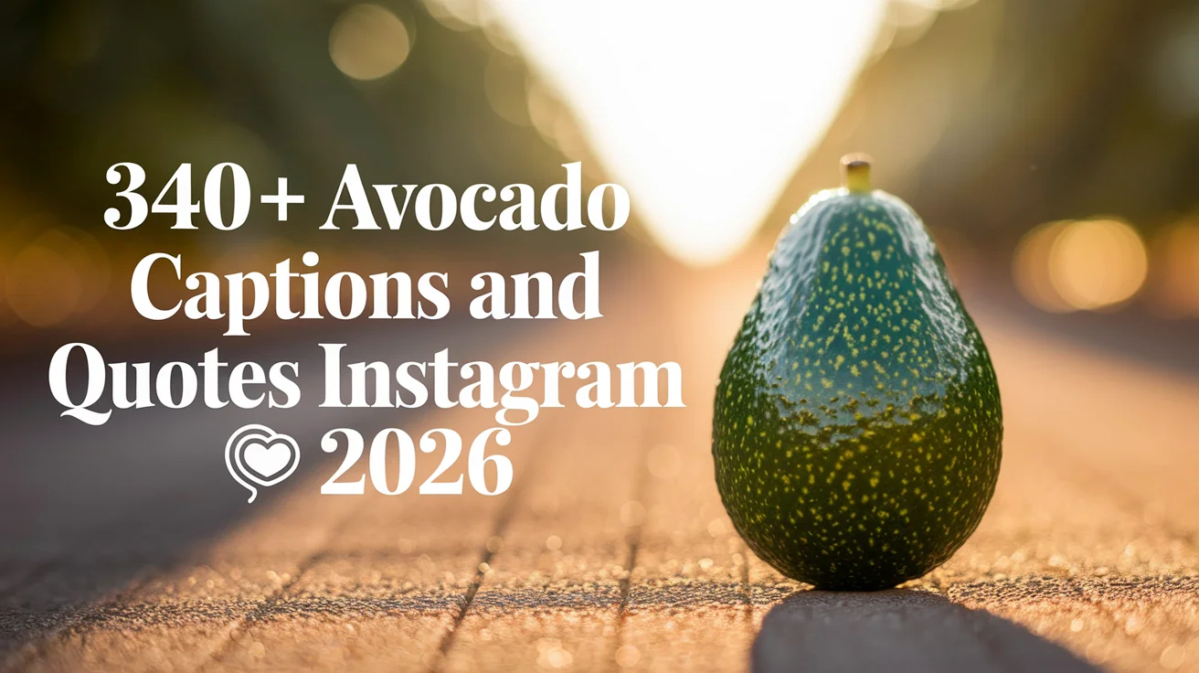 Avocado Captions And Quotes For Instagram