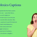 New Mexico Captions