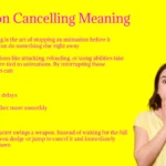 Animation Cancelling Meaning