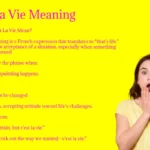 C’est La Vie Meaning