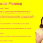 Pornhoarder Meaning