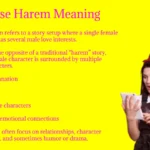 Reverse Harem Meaning