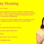 Simp City Meaning